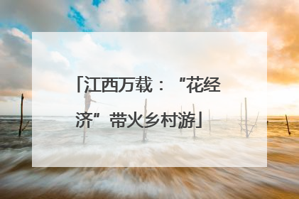 江西万载：“花经济”带火乡村游
