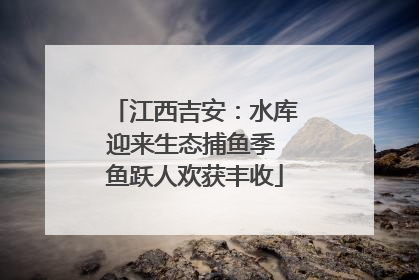 江西吉安：水库迎来生态捕鱼季 鱼跃人欢获丰收