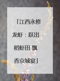江西永修龙虾：跃出稻虾田 飘香京城宴