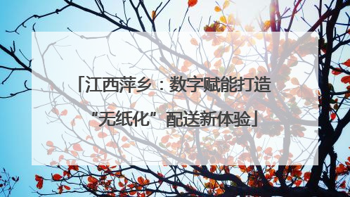 江西萍乡：数字赋能打造“无纸化”配送新体验