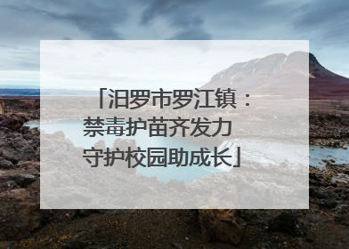 汨罗市罗江镇：禁毒护苗齐发力 守护校园助成长