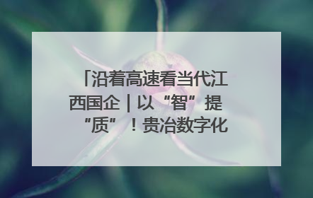 沿着高速看当代江西国企｜以“智”提“质”！贵冶数字化转型迈出新步伐