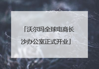 沃尔玛全球电商长沙办公室正式开业