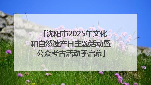 沈阳市2025年文化和自然遗产日主题活动暨公众考古活动季启幕