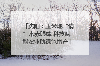 沈阳：玉米地“请”来赤眼蜂 科技赋能农业助绿色增产