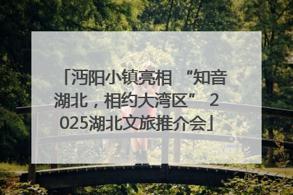 沔阳小镇亮相 “知音湖北，相约大湾区” 2025湖北文旅推介会