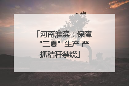 河南淮滨：保障“三夏”生产 严抓秸秆禁烧