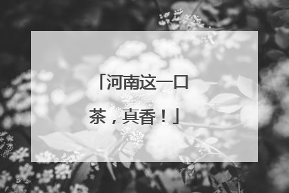 河南这一口茶，真香！