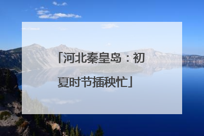 河北秦皇岛：初夏时节插秧忙