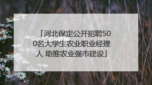 河北保定公开招聘500名大学生农业职业经理人 助推农业强市建设