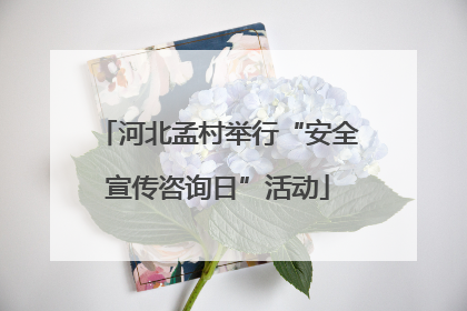 河北孟村举行“安全宣传咨询日”活动