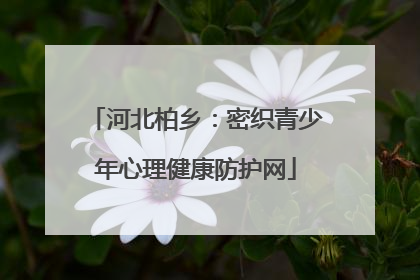 河北柏乡：密织青少年心理健康防护网
