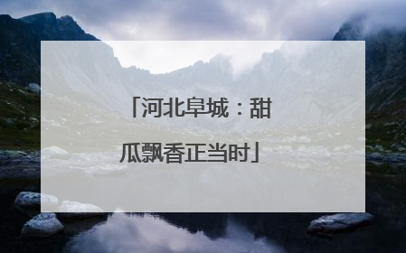 河北阜城：甜瓜飘香正当时