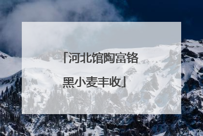 河北馆陶富铬黑小麦丰收