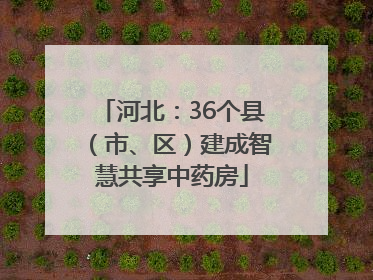 河北：36个县（市、区）建成智慧共享中药房