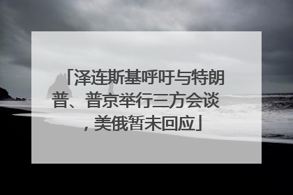 泽连斯基呼吁与特朗普、普京举行三方会谈，美俄暂未回应