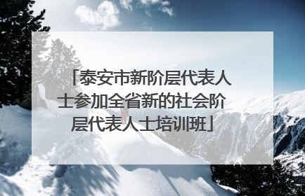 泰安市新阶层代表人士参加全省新的社会阶层代表人士培训班