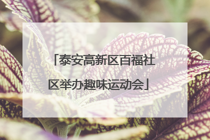 泰安高新区百福社区举办趣味运动会