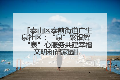 泰山区泰前街道广生泉社区：“泉”聚银辉“泉”心服务共建幸福文明和谐家园
