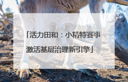 活力田和：小精特赛事激活基层治理新引擎