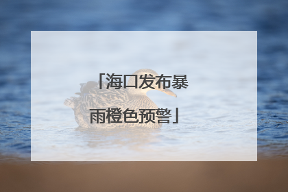 海口发布暴雨橙色预警