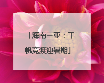 海南三亚：千帆竞渡迎暑期