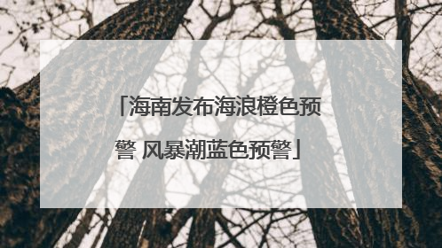 海南发布海浪橙色预警 风暴潮蓝色预警
