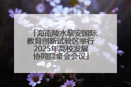 海南陵水黎安国际教育创新试验区举行2025年高校发展协同圆桌会会议