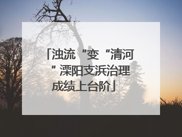 浊流“变“清河“ 溧阳支浜治理成绩上台阶