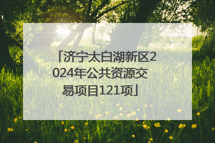 济宁太白湖新区2024年公共资源交易项目121项