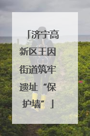 济宁高新区王因街道筑牢遗址“保护墙”
