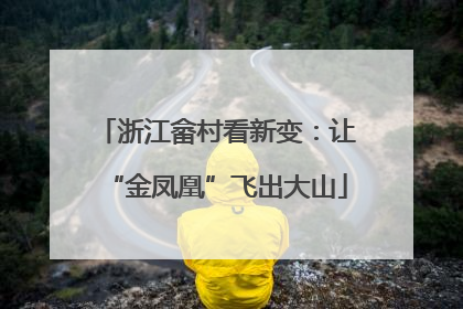 浙江畲村看新变：让“金凤凰”飞出大山