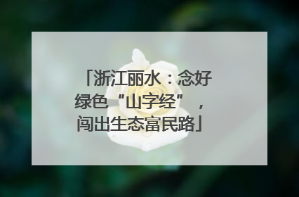 浙江丽水：念好绿色“山字经”，闯出生态富民路