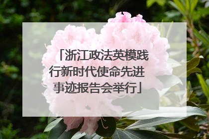 浙江政法英模践行新时代使命先进事迹报告会举行