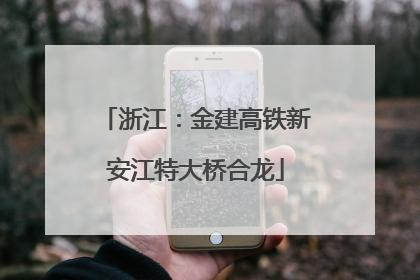 浙江：金建高铁新安江特大桥合龙
