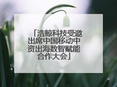 浩鲸科技受邀出席中国移动中资出海数智赋能合作大会