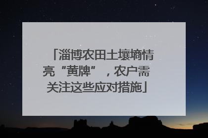 淄博农田土壤墒情亮“黄牌”，农户需关注这些应对措施