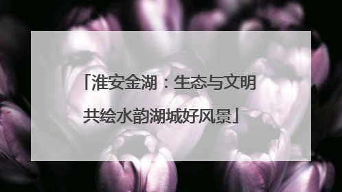 淮安金湖：生态与文明共绘水韵湖城好风景