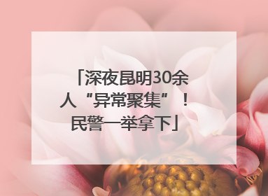 深夜昆明30余人“异常聚集”！民警一举拿下