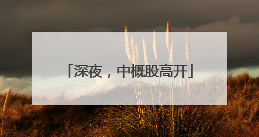 深夜，中概股高开