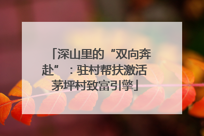 深山里的“双向奔赴”：驻村帮扶激活茅坪村致富引擎