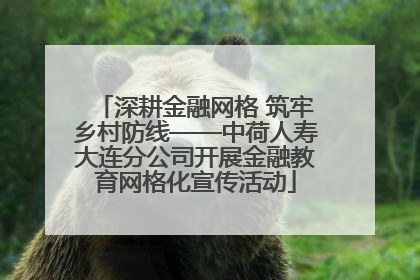 深耕金融网格 筑牢乡村防线——中荷人寿大连分公司开展金融教育网格化宣传活动