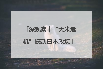 深观察丨“大米危机”撼动日本政坛