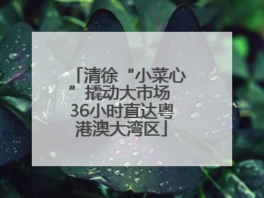 清徐“小菜心”撬动大市场 36小时直达粤港澳大湾区