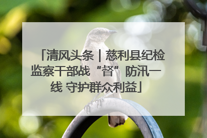 清风头条｜慈利县纪检监察干部战“督”防汛一线 守护群众利益