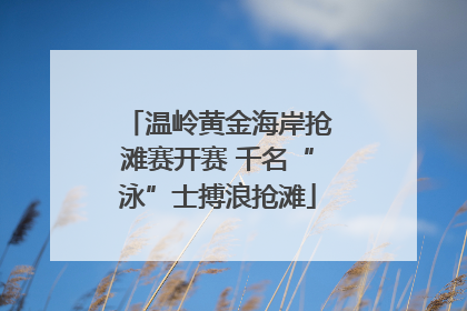 温岭黄金海岸抢滩赛开赛 千名“泳”士搏浪抢滩