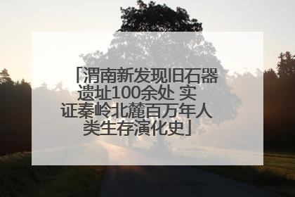 渭南新发现旧石器遗址100余处 实证秦岭北麓百万年人类生存演化史
