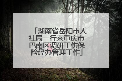 湖南省岳阳市人社局一行来重庆市巴南区调研工伤保险经办管理工作