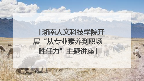 湖南人文科技学院开展“从专业素养到职场胜任力”主题讲座