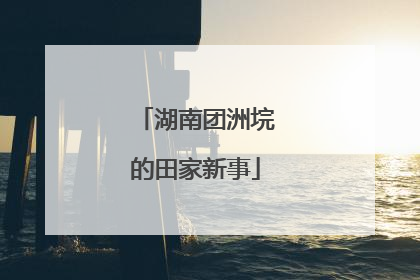 湖南团洲垸的田家新事